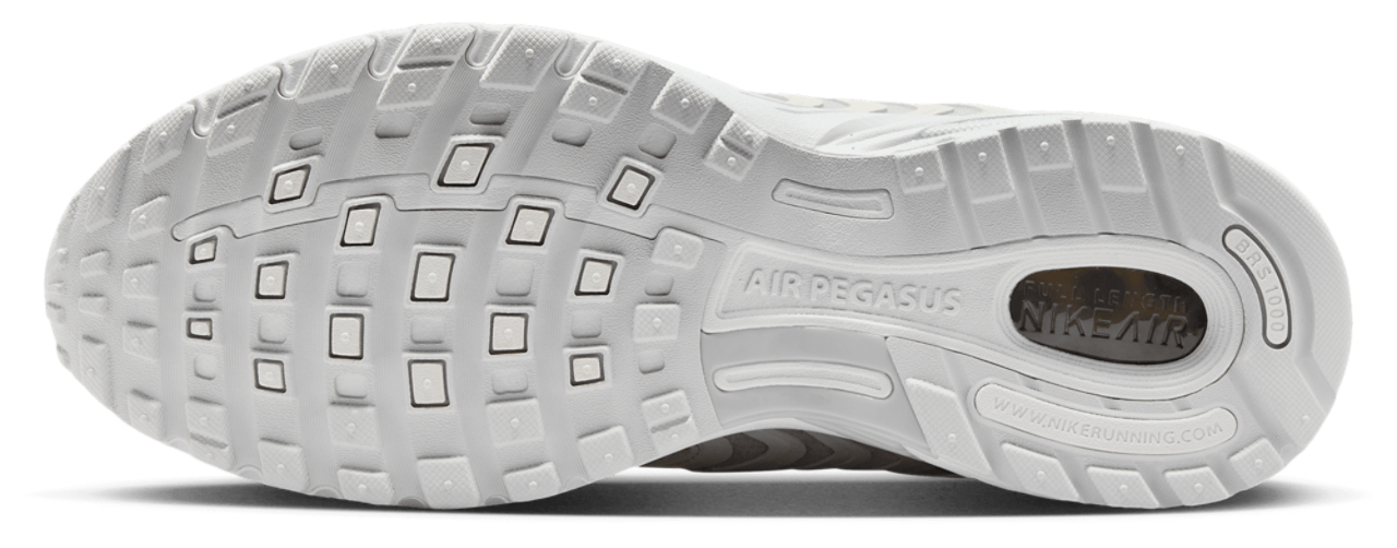 Nike Pegasus 2005