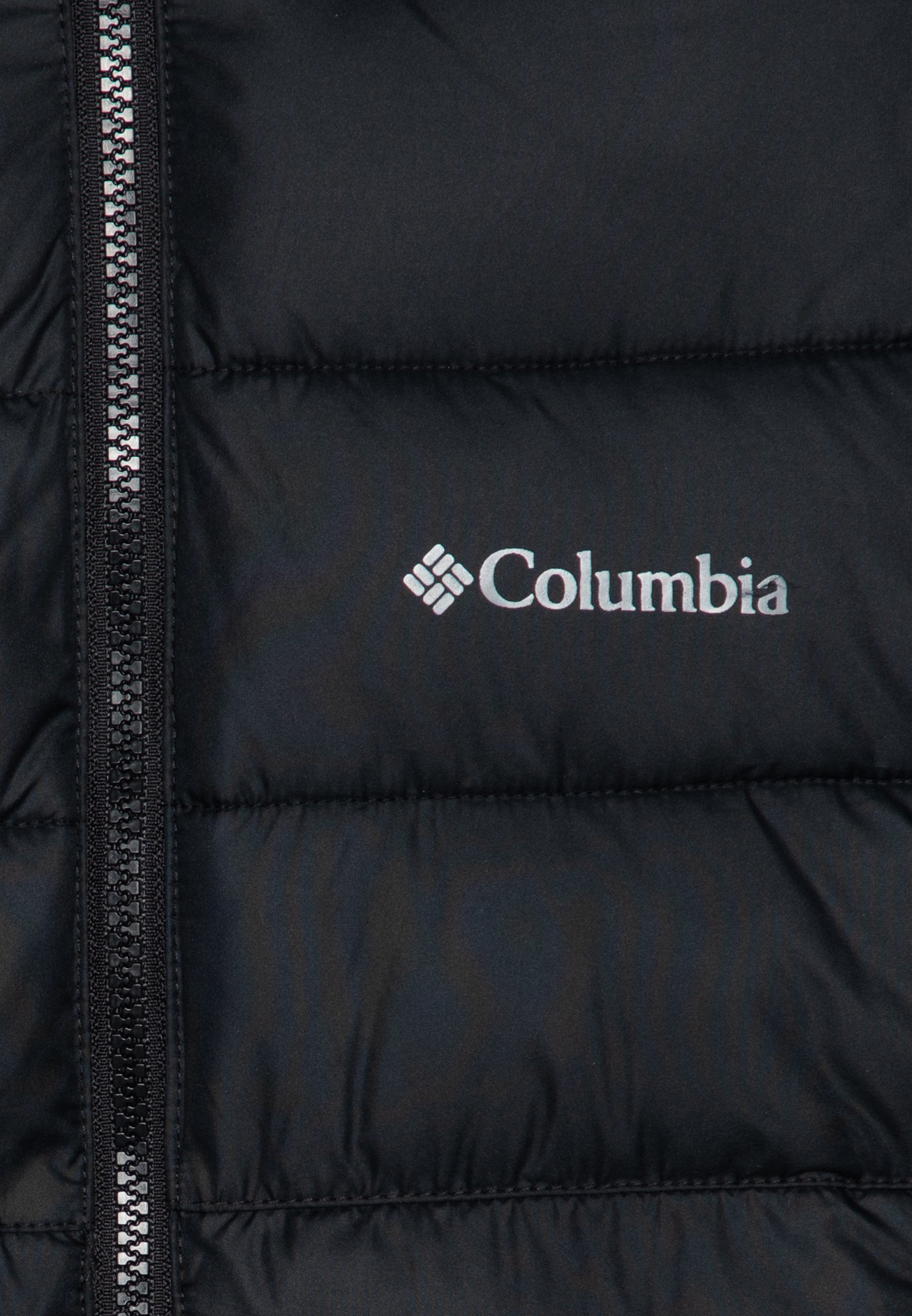 Columbia PIKE LAKE HOODED JACKET UNISEX - Winterjas - zwart