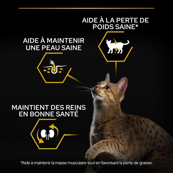 Pro Plan Light Adult 1+ Peru 3kg - Alimento seco completo para gatos adultos com sobrepeso e gatos propensos ao ganho de peso.
