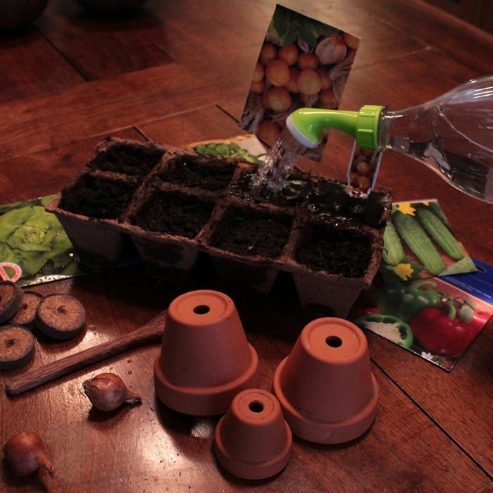 Gieteraccessoires: 3 kleine gieters, accessoires voor het water geven van kamerplanten, kleine gieter