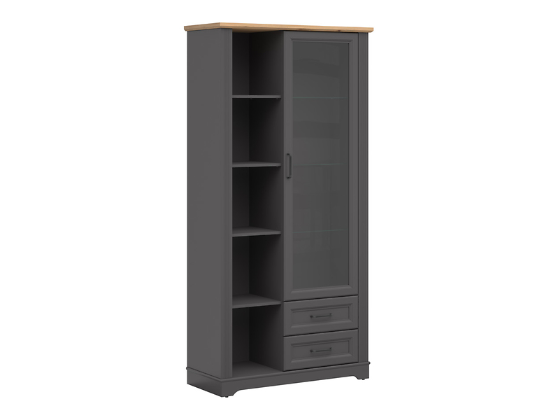 Witryna Tolmin 100 cm z drzwiami i 2 szufladami grafit/dąb artisan
