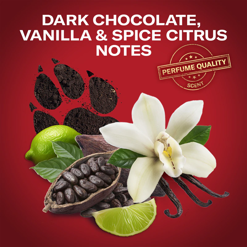 Kit de presente Old Spice Nightpanther DJ para homens