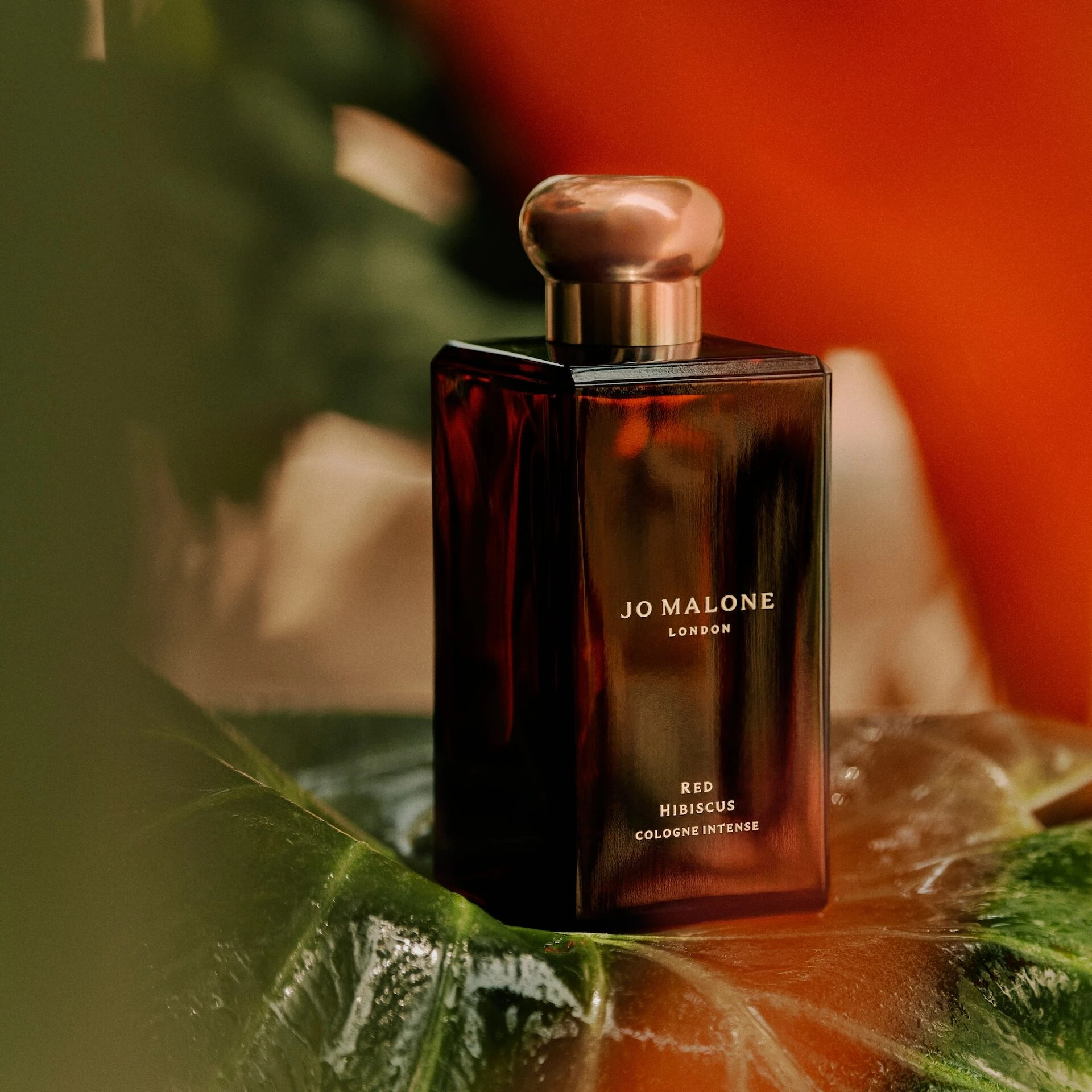 Intenzivna kolonjska voda Red Hibiscus 50 ml - Jo Malone London