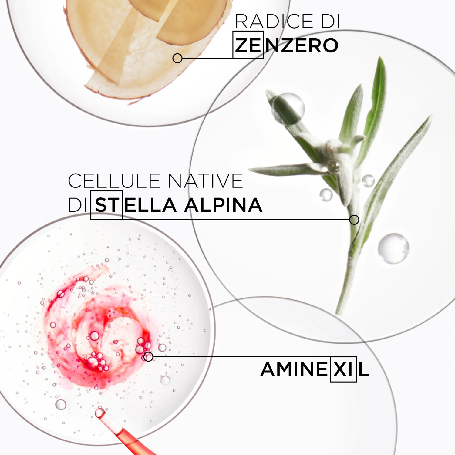 Genesis Bain Nutri-Fortifiant - Shampoo Rinforzante, Shampoo Nutriente, Shampoo Riparatore, Shampoo Anticaduta