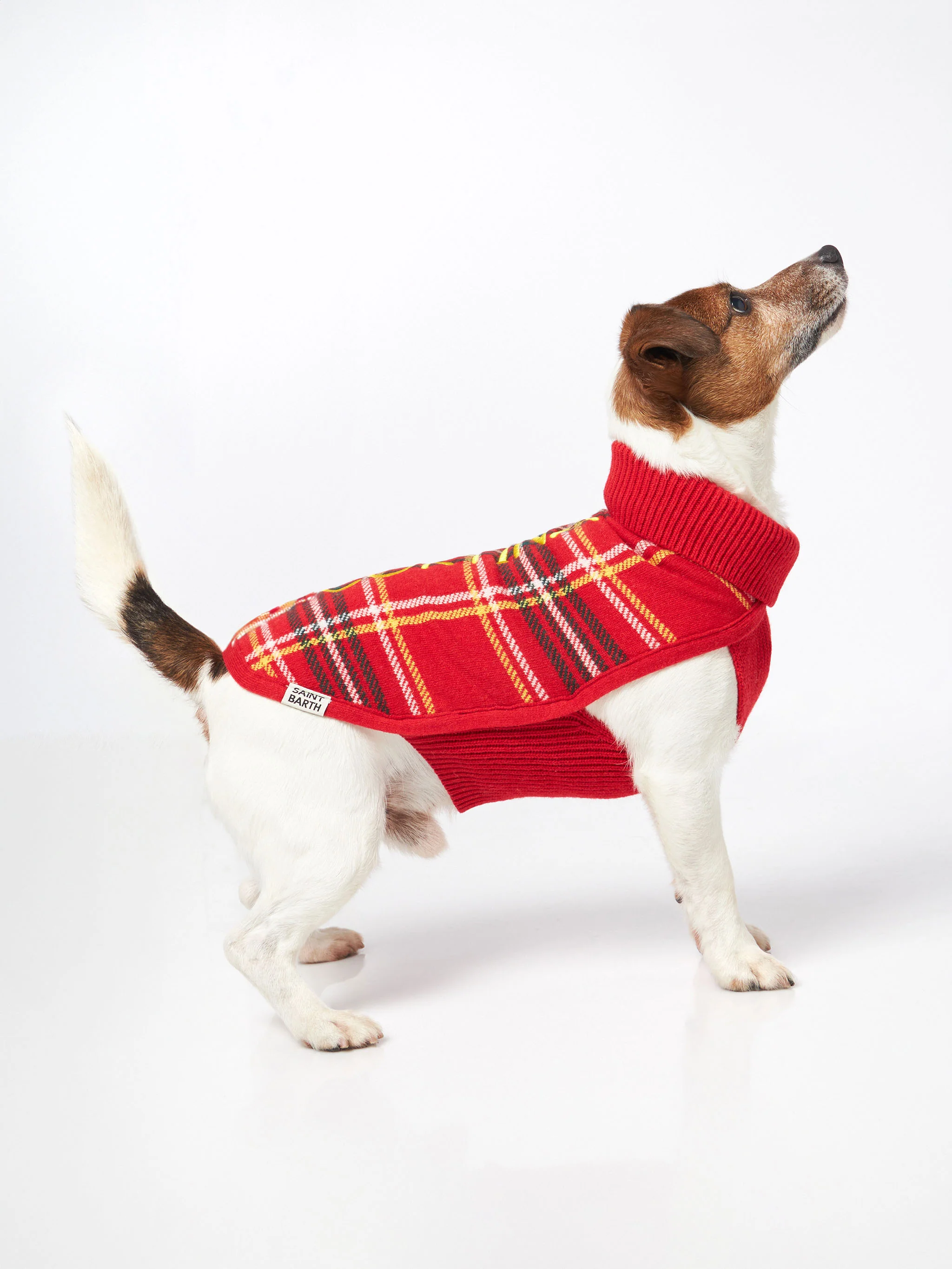 Trui voor honden met Schotse ruitprint