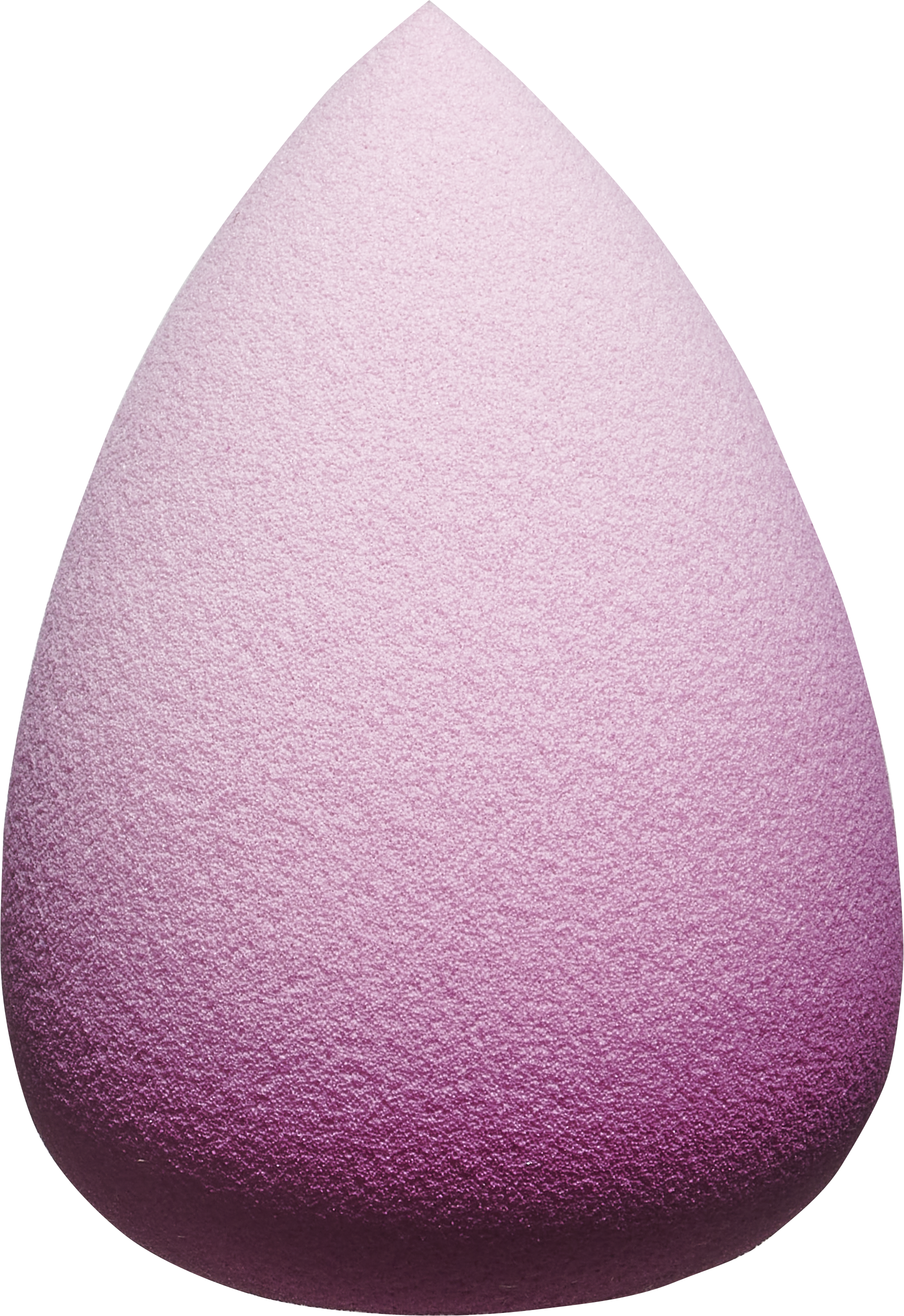 Hebe Professional Makeup Blender