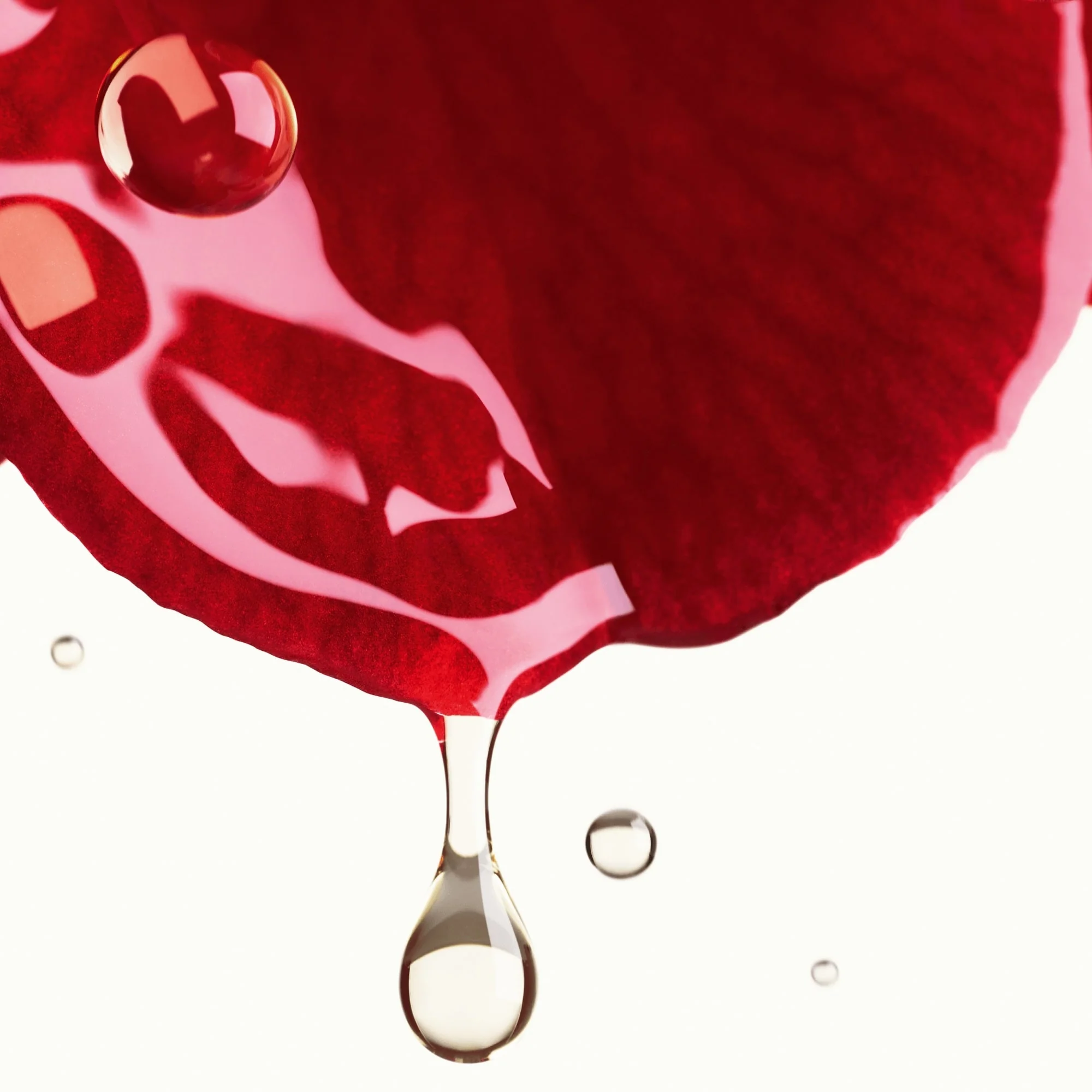 N°1 DE CHANEL SIERO BRUME ALLA CAMELIA ROSSA - PROTEGGERE - LENIRE - RAVVIVARE LA LUMINOSITÀ