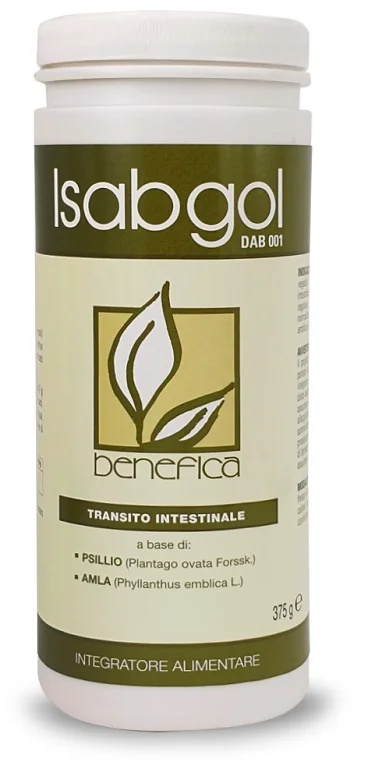 Dab 001 Isabgol 375 G