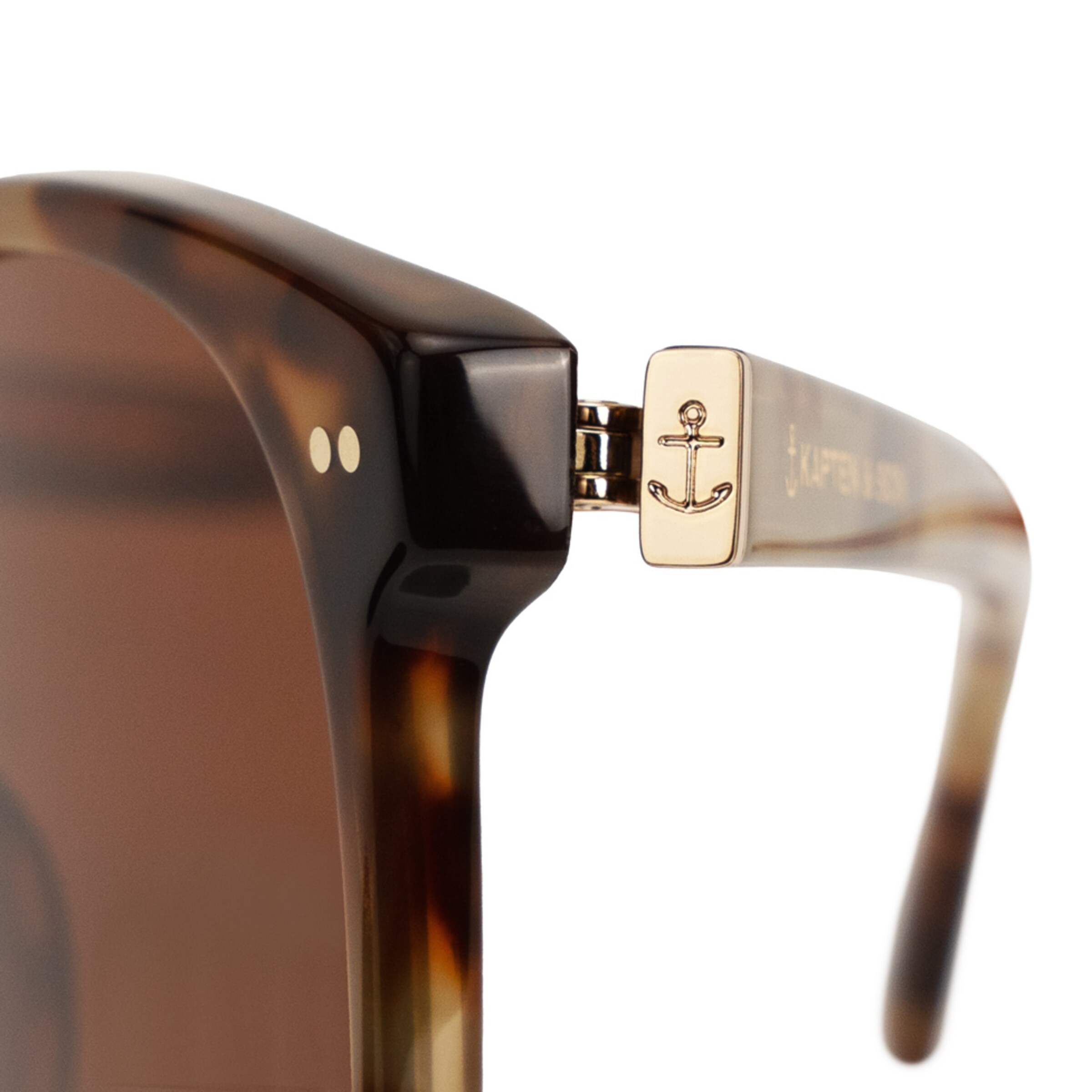 Tortue brune de Nairobi Havana