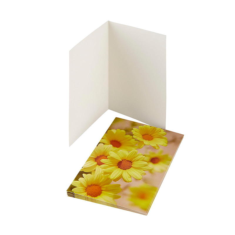 Korte gule margueritter
