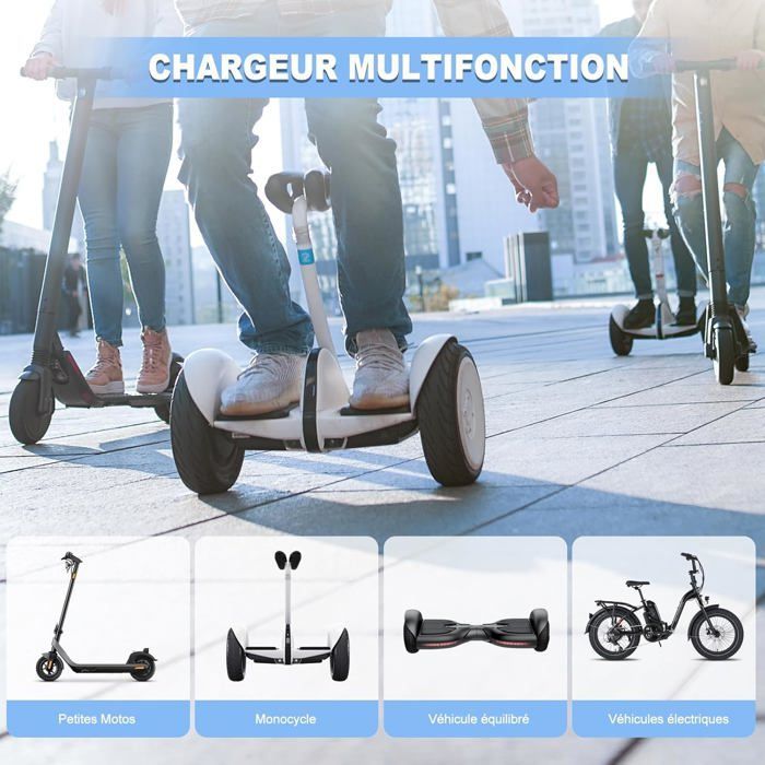 Cargador para hoverboard de 42 V y 2 A con 5 conectores, cargador universal de 36 V para patinete eléctrico Xiaomi M365 Ninebot y hoverboard.