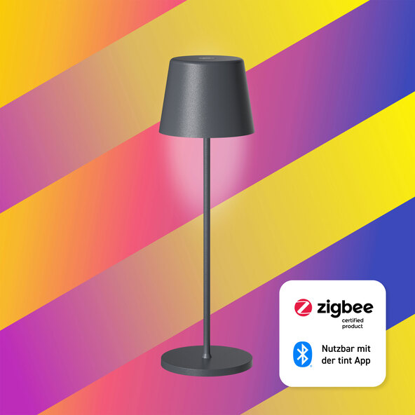 Lampă de masă inteligentă cu LED, alimentată cu baterii, Dalia, alb+color, antracit