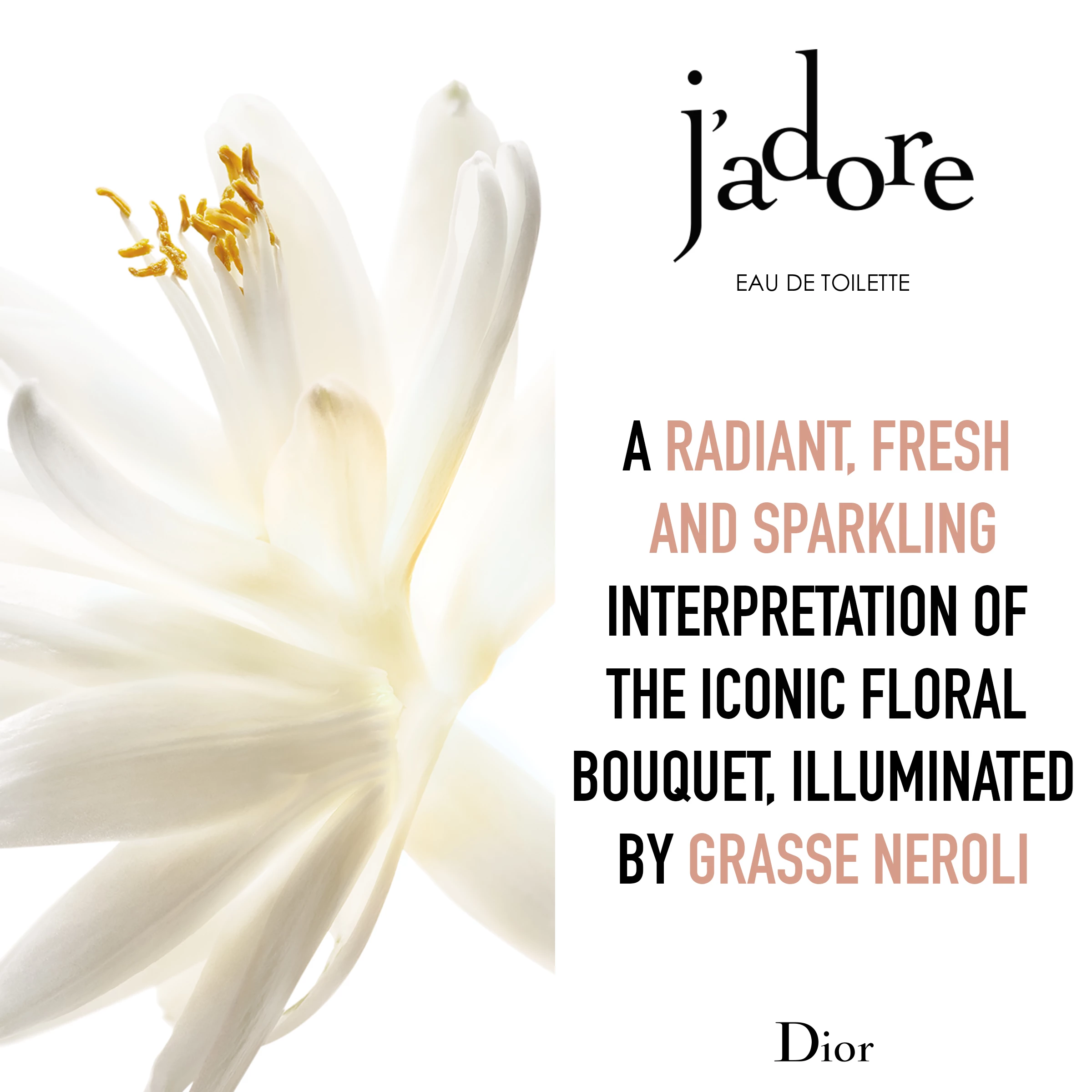 J'adore toaletna voda 50 ml - DIOR