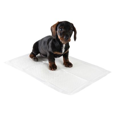 zooplus valpetrenermatter