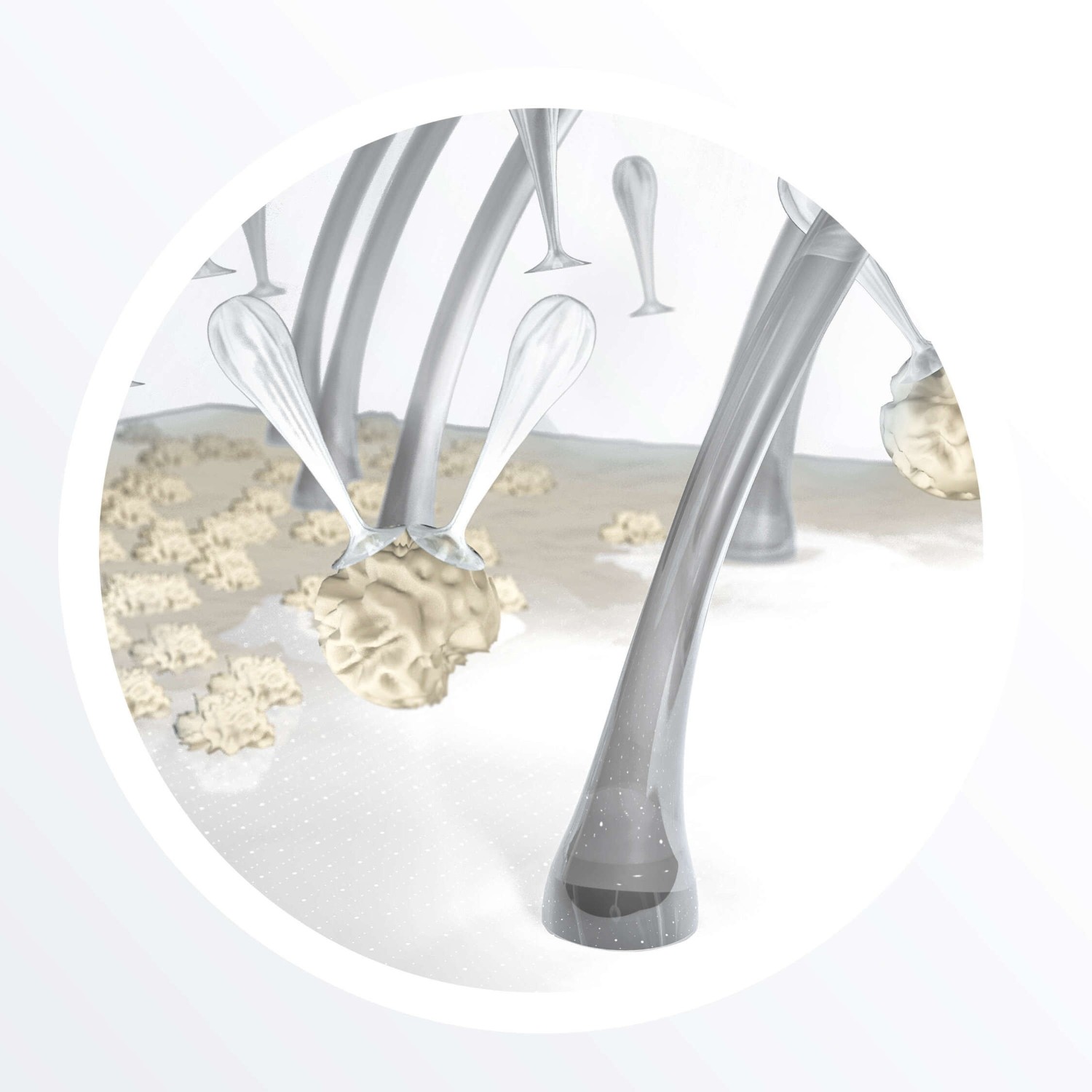 Nioxin System 1 Cleanser