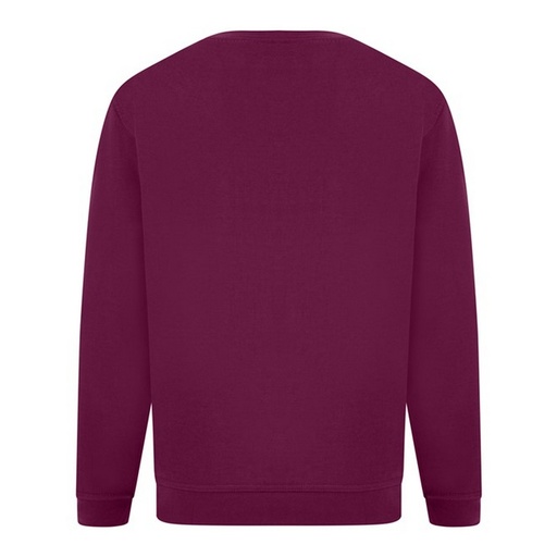  Pulover s kapuco Absolute Apparel Sterling