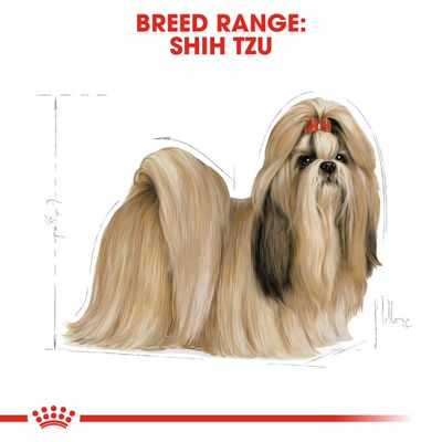 Royal Canin Shih Tzu Adulte