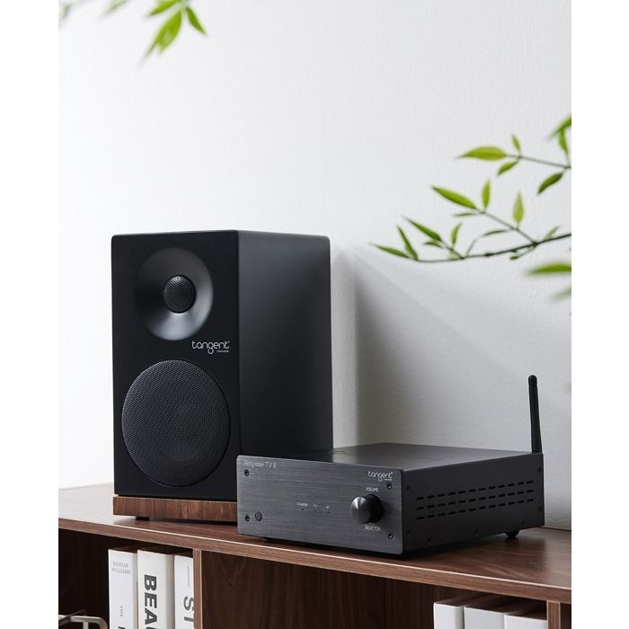 Tangent Ampster TV II – Verstärker