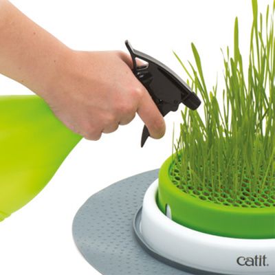 Plantador de grama Catit Senses 2.0