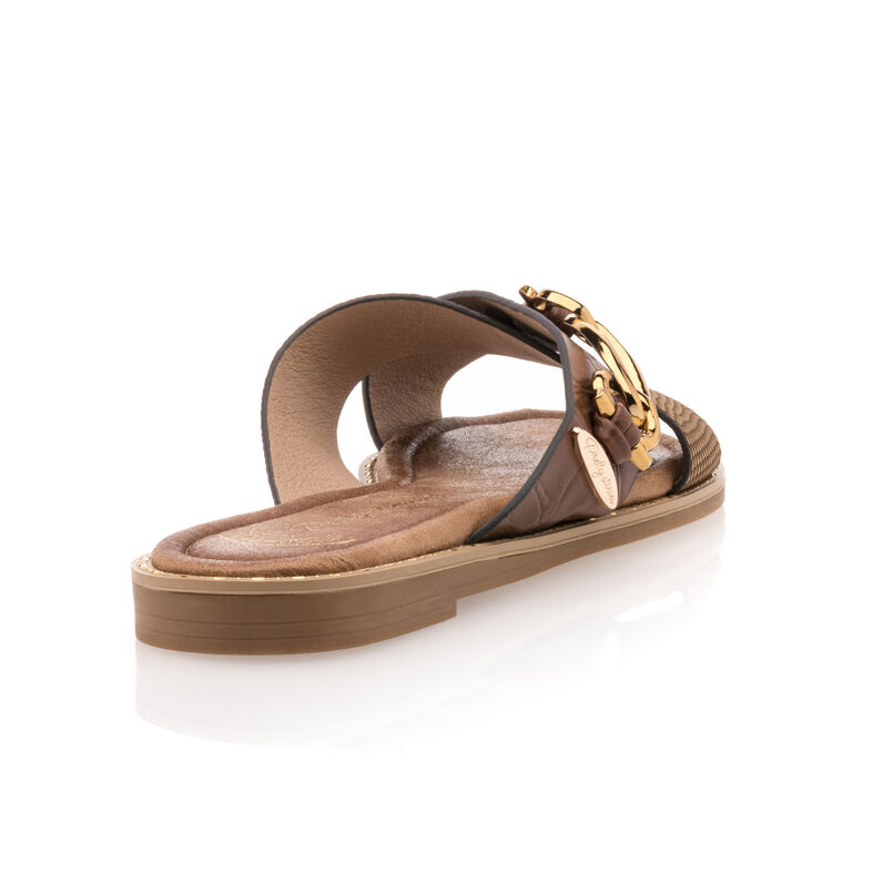 Women's Brown Mules/Clogs