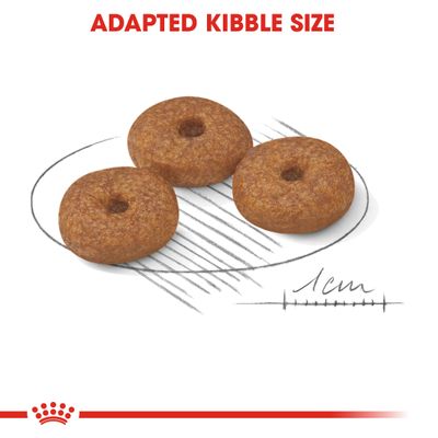 Royal Canin Mini Aging 12+ -koiranruoka