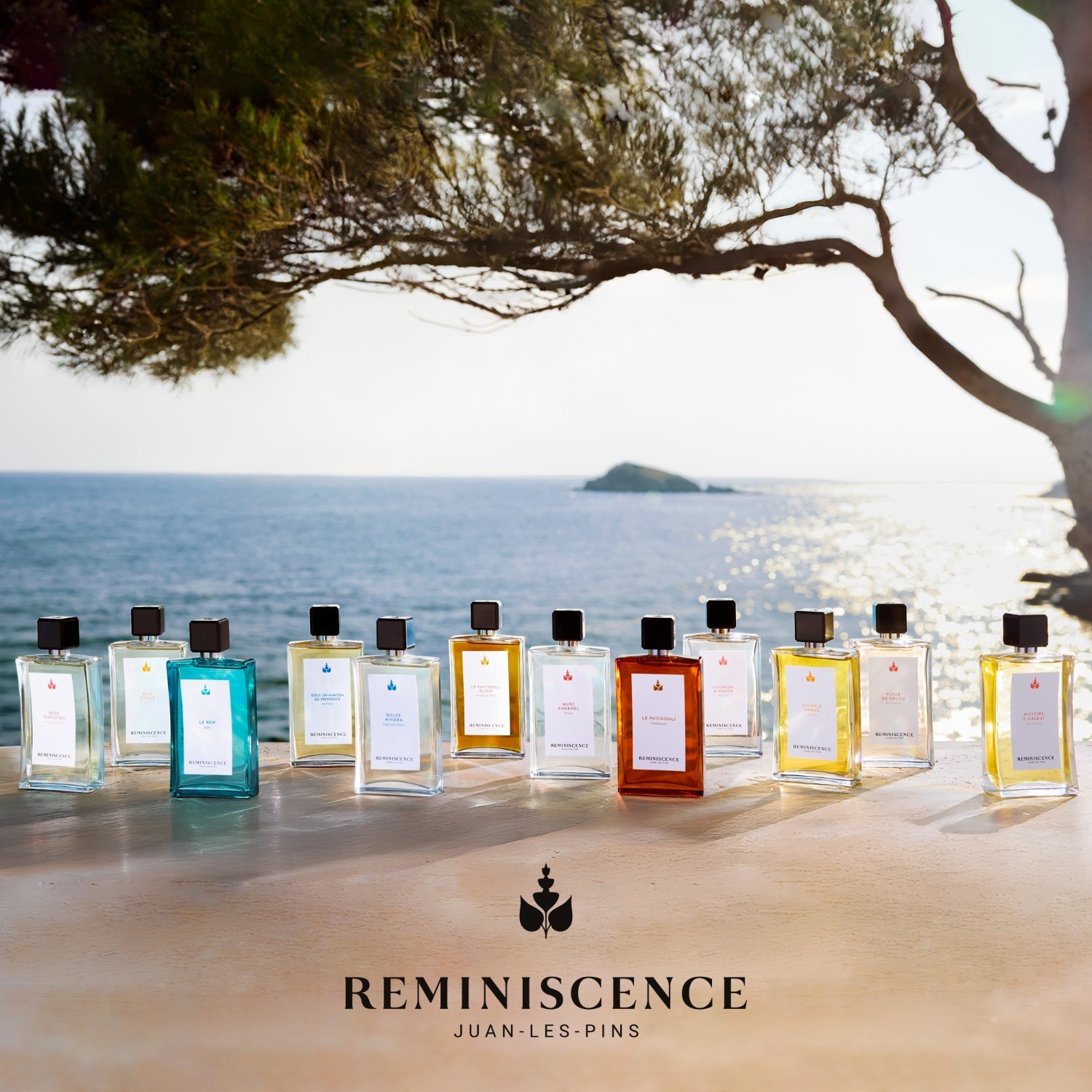 Reminiscence Eau de Toilette Sous un Mimosa de Provence - 50 ml