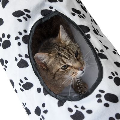 Túnel de gatos de Pawty
