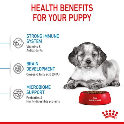 Royal Canin Μεσαίο Κουτάβι