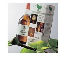 Aalbes 100 ml Mg