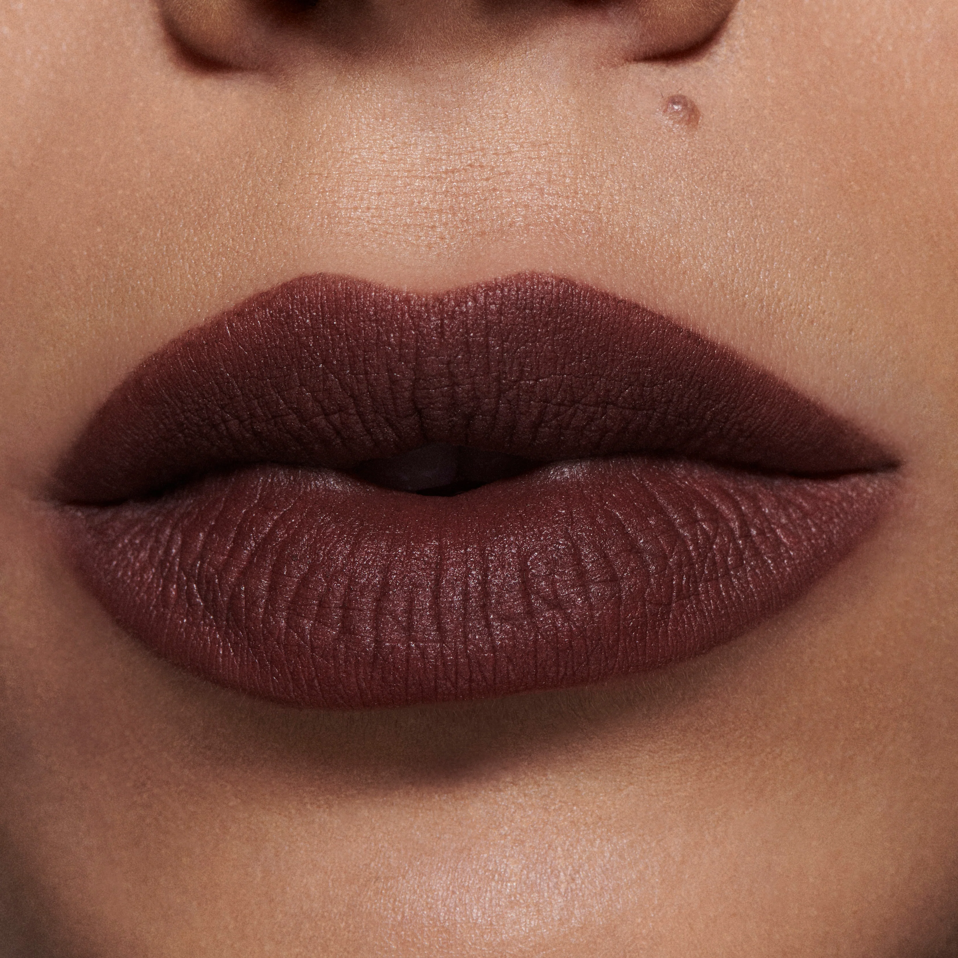 Rossetti Powder Kiss Liquid Lipcolour - Rossetto