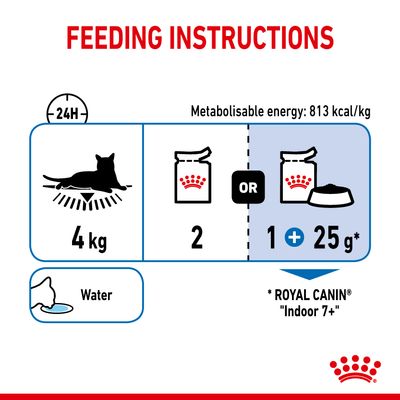 Royal Canin Indoor Sterilised 7+ in Jelly