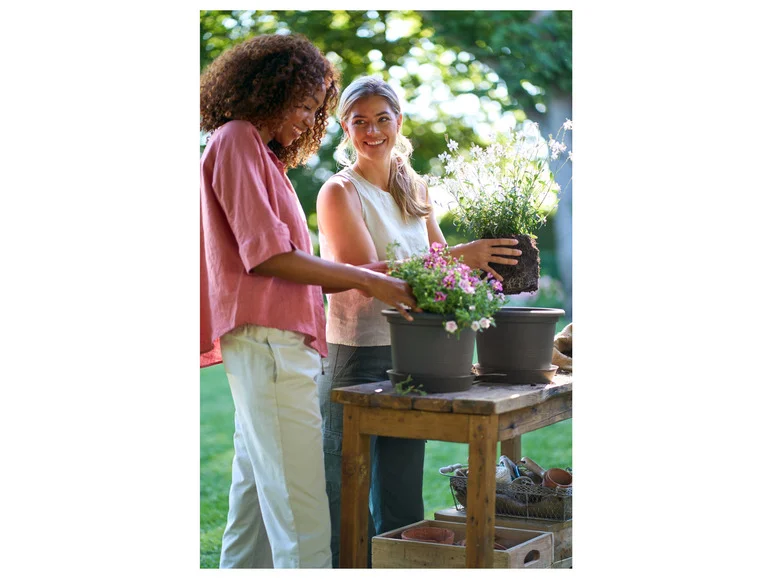 Vaso para plantas PARKSIDE® com plantas ornamentais, 28 cm