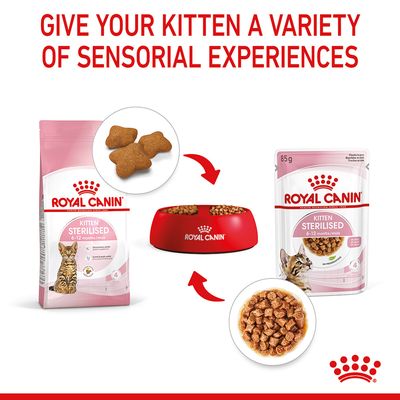 Royal Canin Sterilised Kitten in Gravy