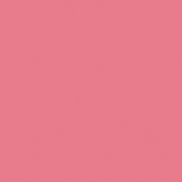 Colors for Friends No. 16 Coral Pink, 2.5l