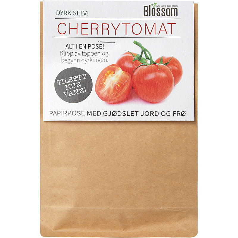 Blomstpose til dyrkning af cherrytomater, frø, blomst