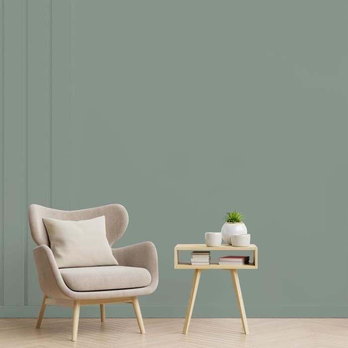 Interior wall decoration paint - Matte noble green - RIPOLIN - 2.5 L