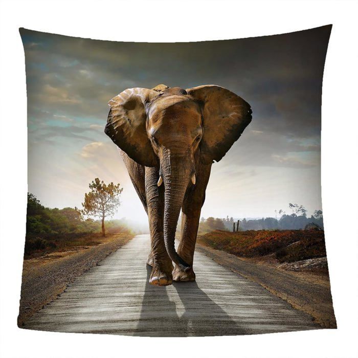 Manta con diseño de elefante, manta polar, 130x150 cm, cálida, suave, de microfibra mullida, ideal para la cama o el sofá.