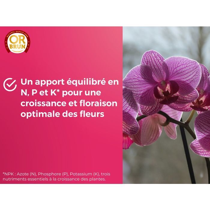 OR BRUN Orchid Fertilizer - 250ml - Improves & promotes growth - Made in France OBRECLORCH250