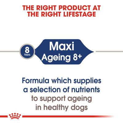 Royal Canin Maxi per bambini dagli 8 anni in sugo