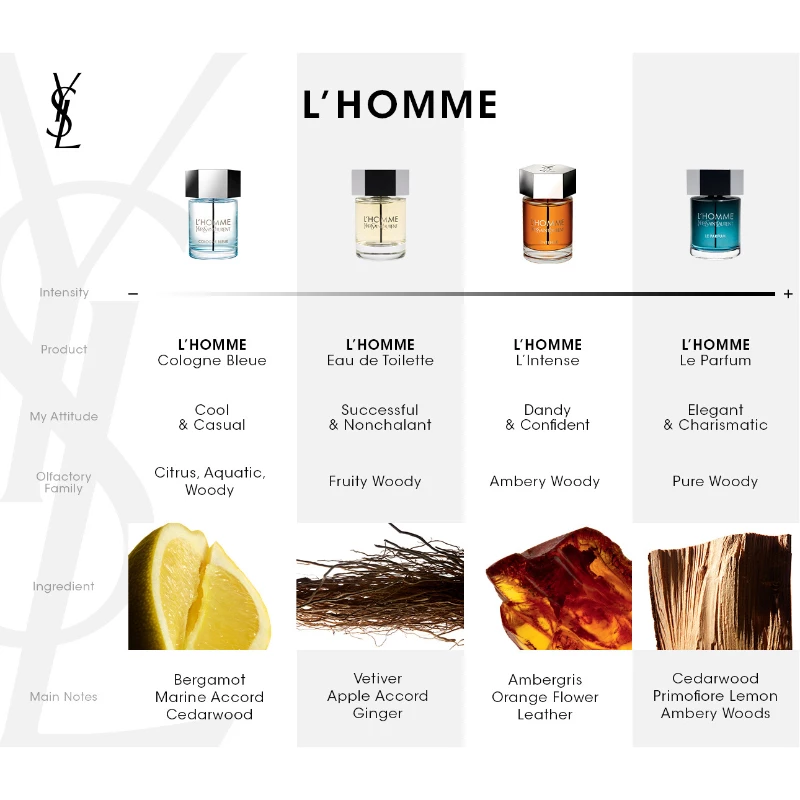 L'Homme Cologne Bleue EdT 100 ml - Yves Saint Laurent