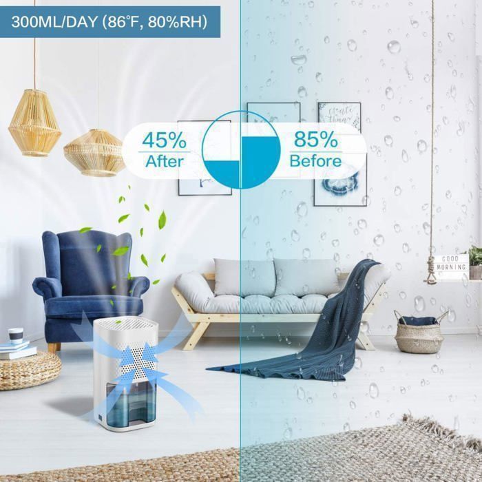 Déshumidificateur d'air 850ML, Deshumidificateur Electrique Silencieuse, Arrêt Automatique Pour Salle de Bain et à la Chambre