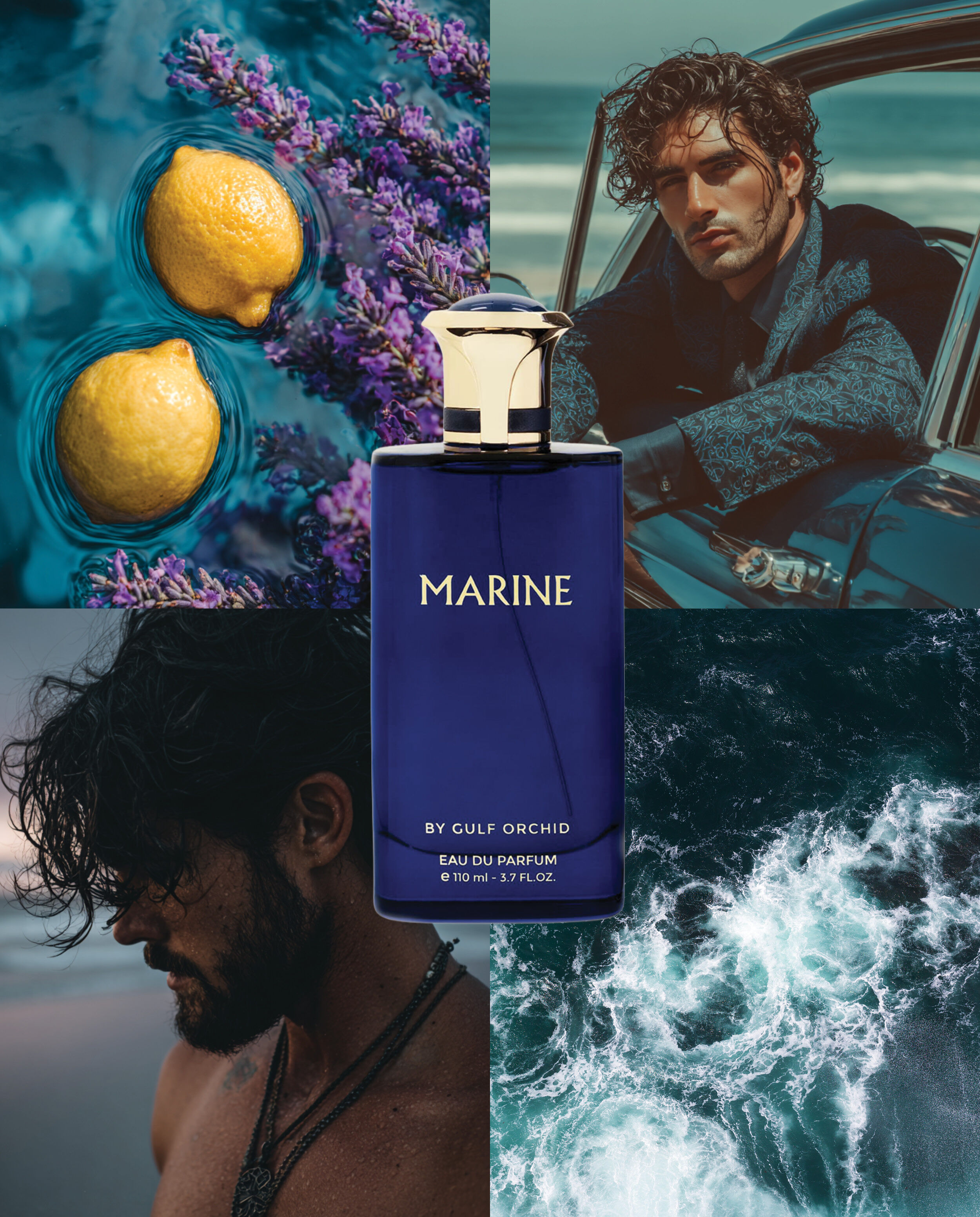 Golf-Orchidee Marine
