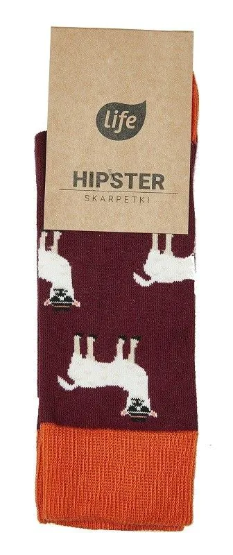 Life Skarpetki Bawełniane Hipster Wzór Lama Rozm. 39-42