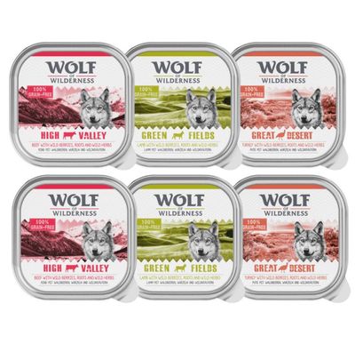 Wolf of Wilderness Adult Classic 6 x 300 g