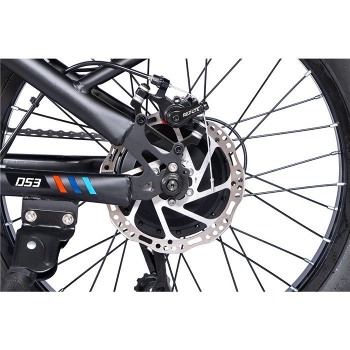 Vélo électrique BAICYCLE DS3, Noir, Moteur 250W, Batterie 36V10.4Ah, Autonomie 35KM en électricité Pure