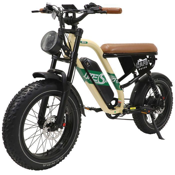 Maxtron W66 -Vélo Électrique VTT 20
