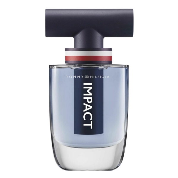 Tommy Hilfiger ietekme