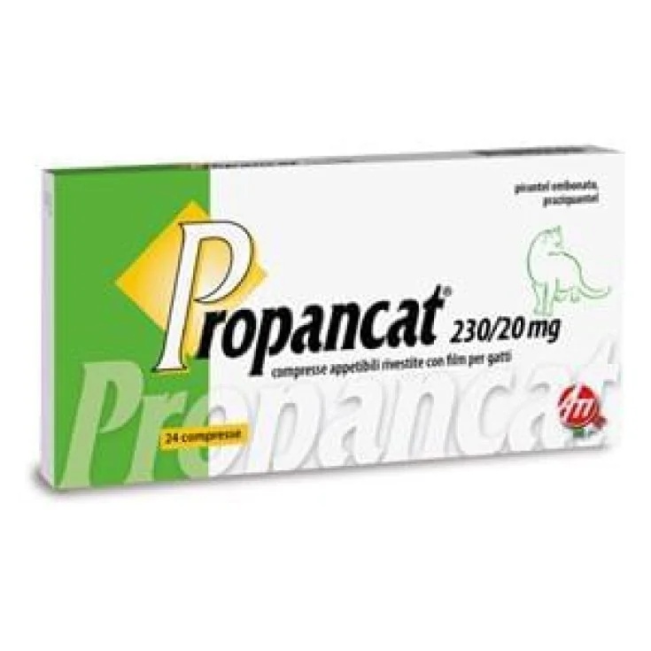 Propano Compr 24