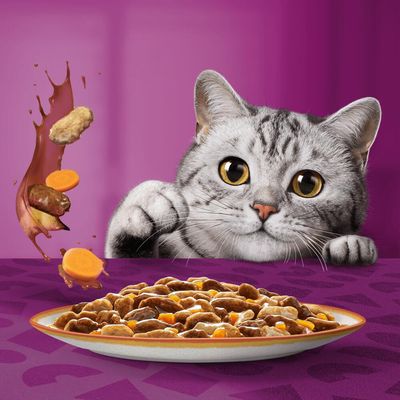 Whiskas 1+ Tasty Mix Country Collection i saus