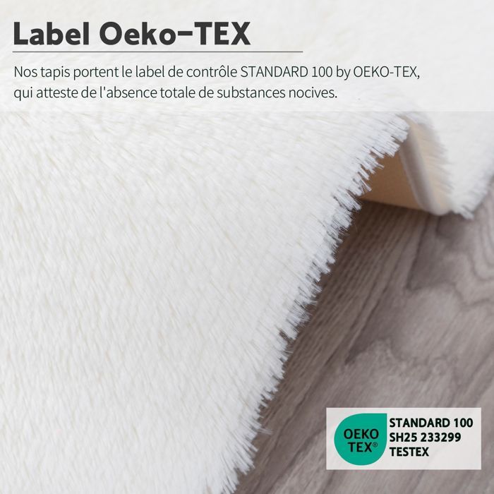 Tapis Salon , Frixovel Tapis Chambre 120x160CM , Dessous Antidérapant , Doux Moelleux , Blanc
